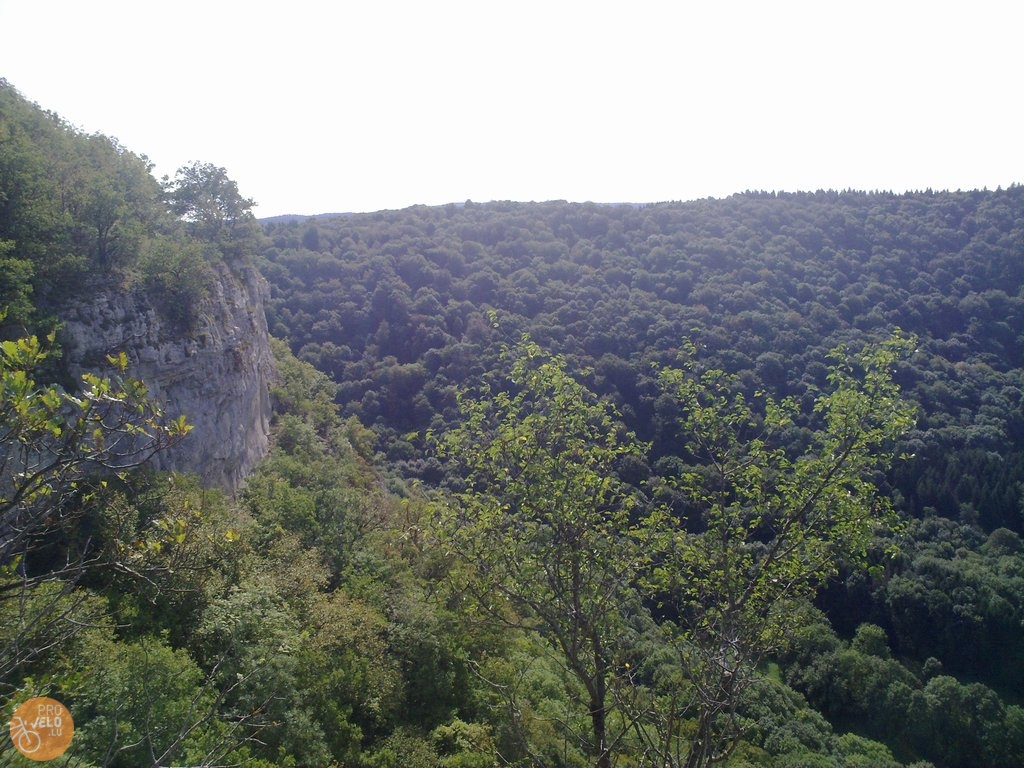 07092009046.jpg