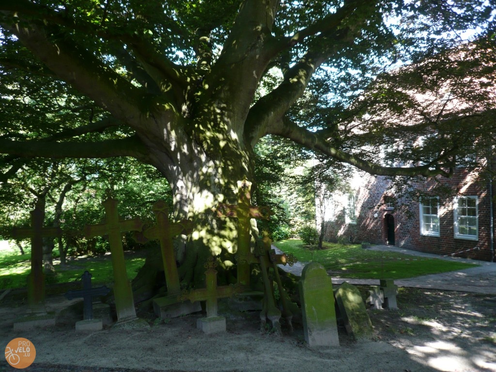 p1000739.jpg